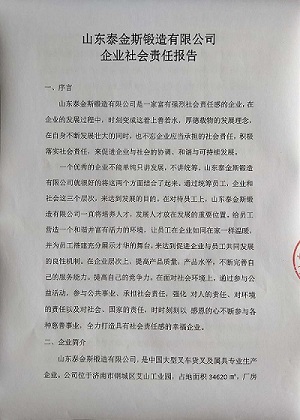 冰球突破(中国)有限公司官网
企业社会责任报告